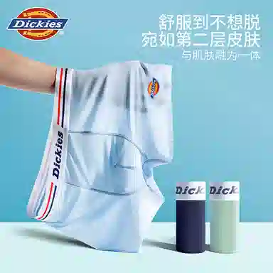 Dickies 10A