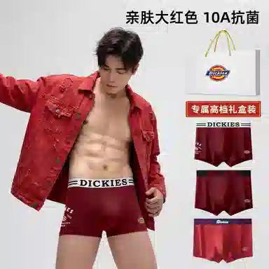 Dickies 10A Antibacterial Cotton Boxer Briefs Set
