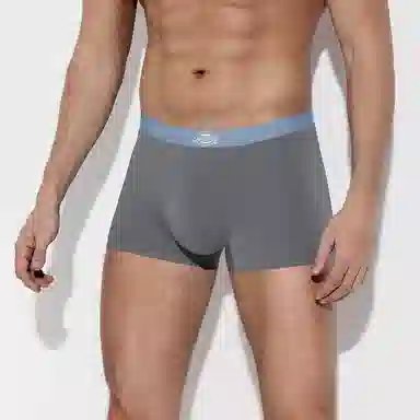 Dickies Seamless Boxer Brief Set