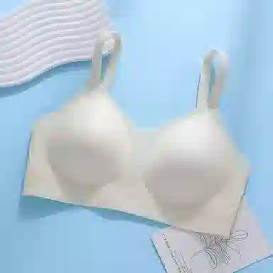 棉基因 轻薄无痕大胸吸汗透气不闷热文胸 女款