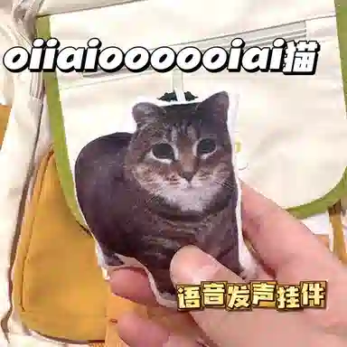 PP
