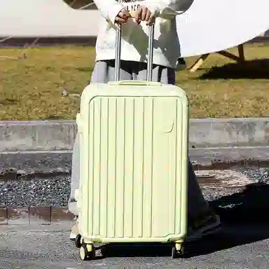 SEA LION PVC 2023252622