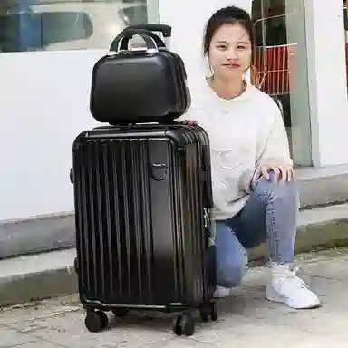 SEA LION PVC 2023252622