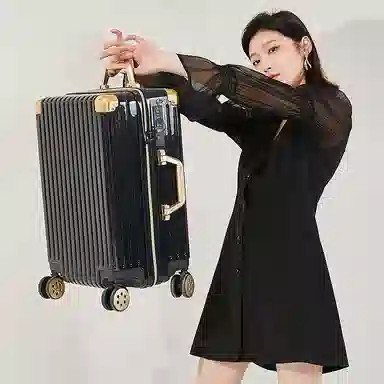 SEA LION PC 20242622