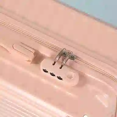 SEA LION PC 18202325