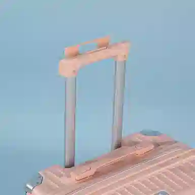 SEA LION PC 18202325