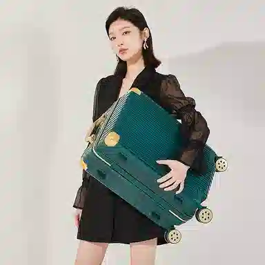 SEA LION PC 20242622