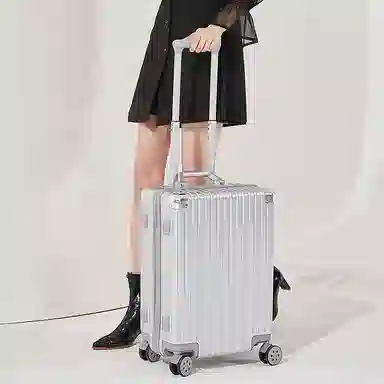 SEA LION PC 20242622