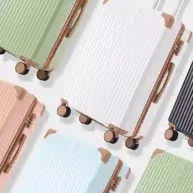 SEA LION ABS+PC 23252621