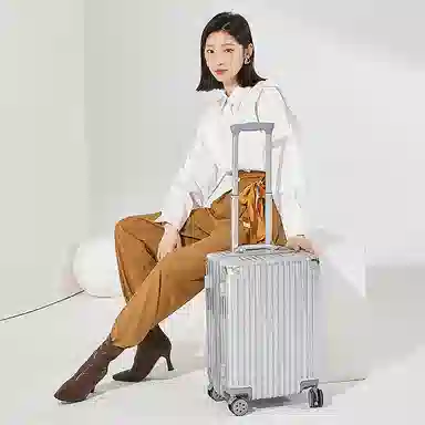 SEA LION PC 20242622