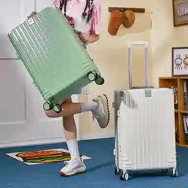 SEA LION ABS+PC 20242622