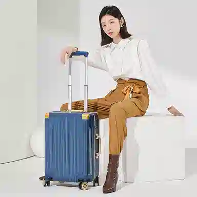 SEA LION PC 20242622