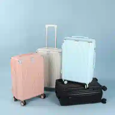 SEA LION PC 18202325