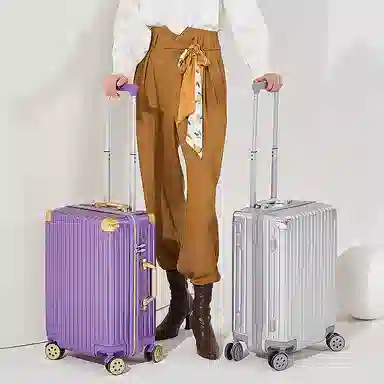 SEA LION PC 20242622