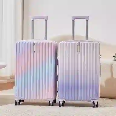 SEA LION ABS+PC 20232522