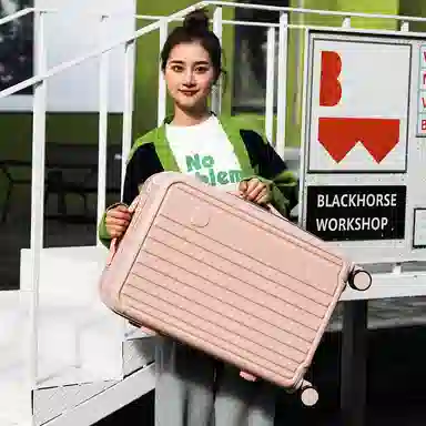 SEA LION PVC 2023252622