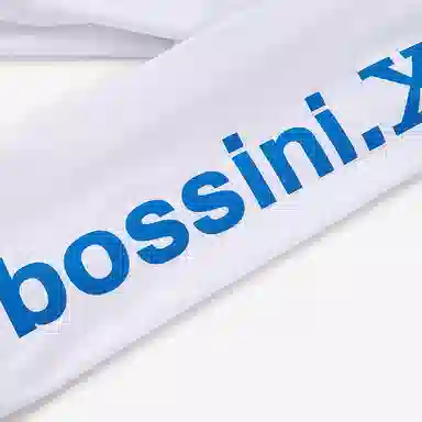 bossini.X