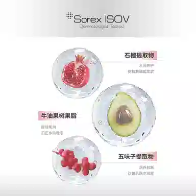 Sorex isov