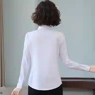 ZMHT OL
