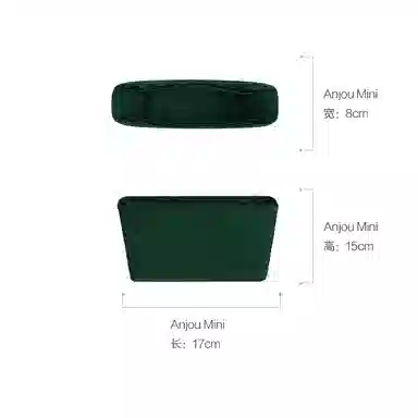 DGAZ GoyardAnjouSaint Louis