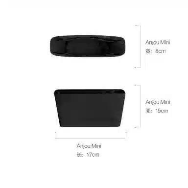 DGAZ GoyardAnjouSaint Louis