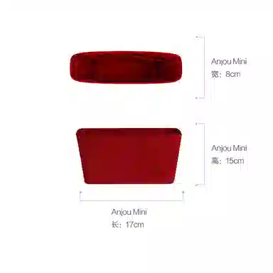 DGAZ GoyardAnjouSaint Louis