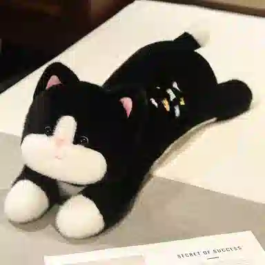 60cm90cm