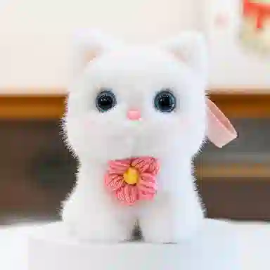 15cm