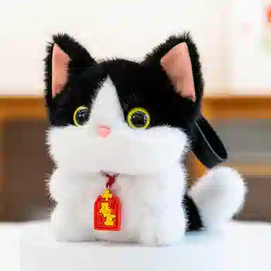 15cm