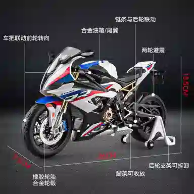 S1000RR 19