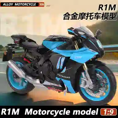 R1M