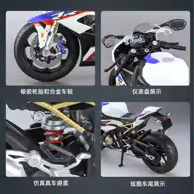 S1000RR 19