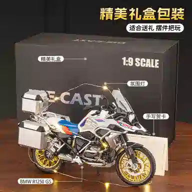 R1250GS 19 19