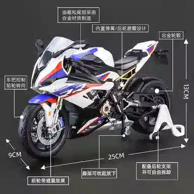 S1000RR 19
