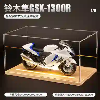 gsx1300r 19