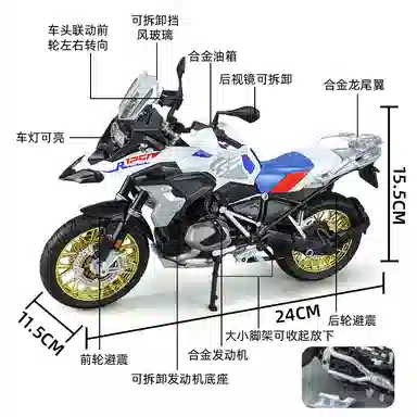 R1250GS 19