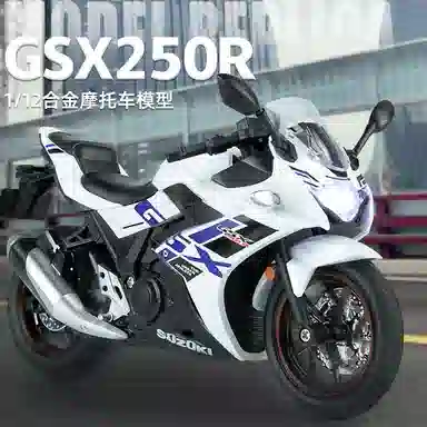 GSX250R 112