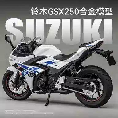 GSX250R 112