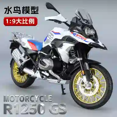 R1250GS 19