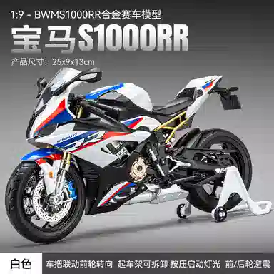 S1000RR 19