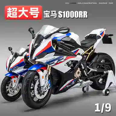 S1000RR 19
