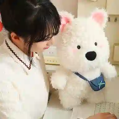YOUMAI 22cm35cm45cm