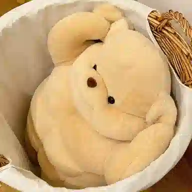 YOUMAI 50cm