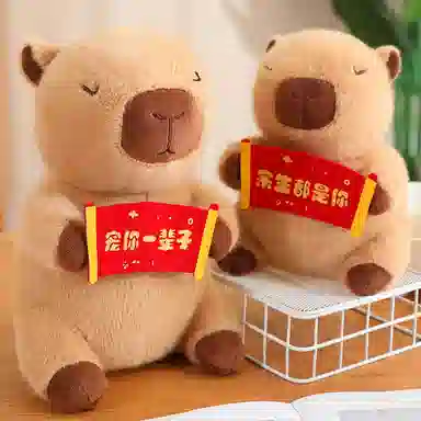 YOUMAI 23cm30cm