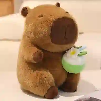 YOUMAI 22cm30cm