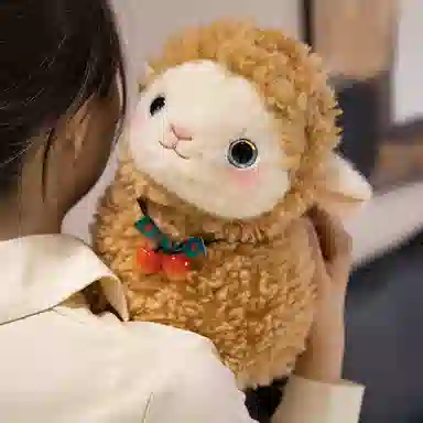 YOUMAI 25cm35cm