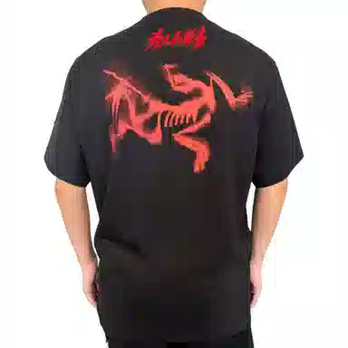 Arcteryx KRAGG SLLogoT