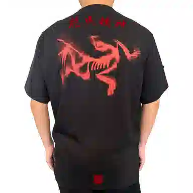 Arcteryx KRAGG SL LogoT