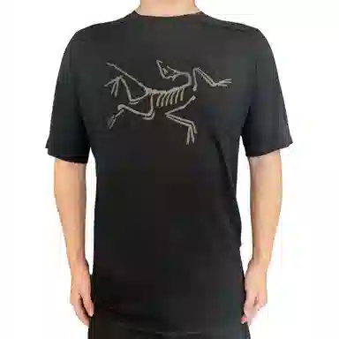 Arcteryx Ionia Merino Wool logoT