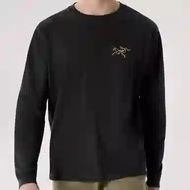 Arcteryx LogoT